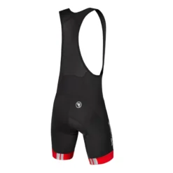 Endura FS260-Pro Men's Bib Shorts - Red -Sportfu Bike Gear Shop e7117rd back lg