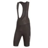 Endura FS260-Pro Thermo Bibshort - Black